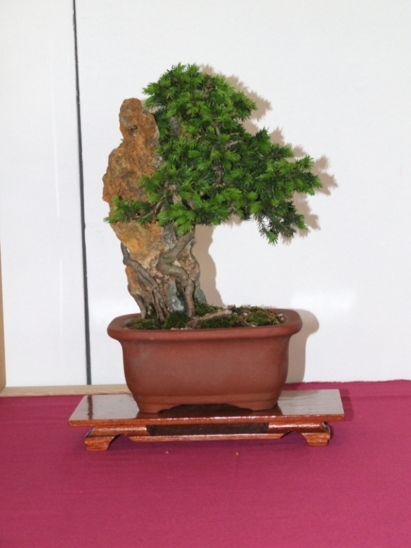Go-Gatsu Ten 2008 054.jpg