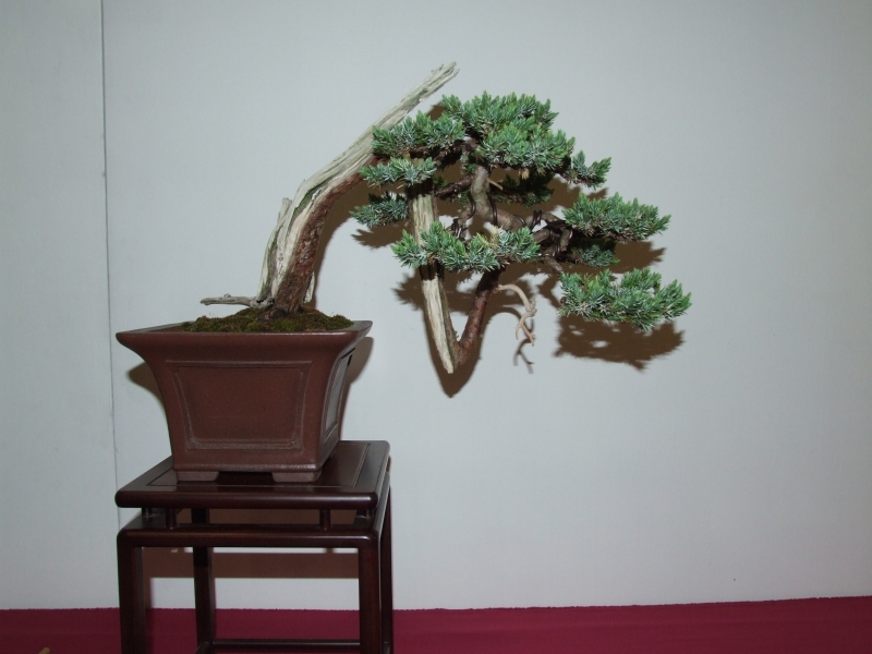 Go-Gatsu Ten 2008 079.jpg