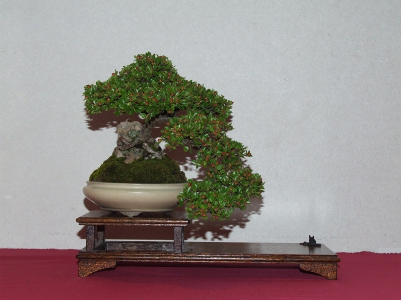 Go-Gatsu Ten 2008 107.jpg