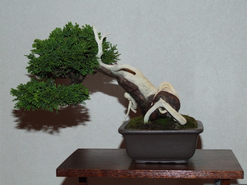 Go-Gatsu Ten 2008 109.jpg