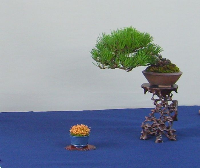 Shunga Ten - Maart 2007 - Osaka 1.jpg