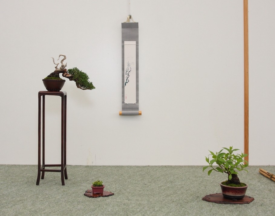 BSA Shohin Off 2011 007.jpg