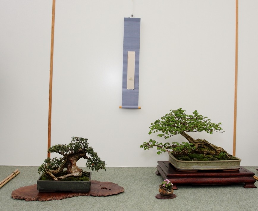 BSA Shohin Off 2011 027.jpg