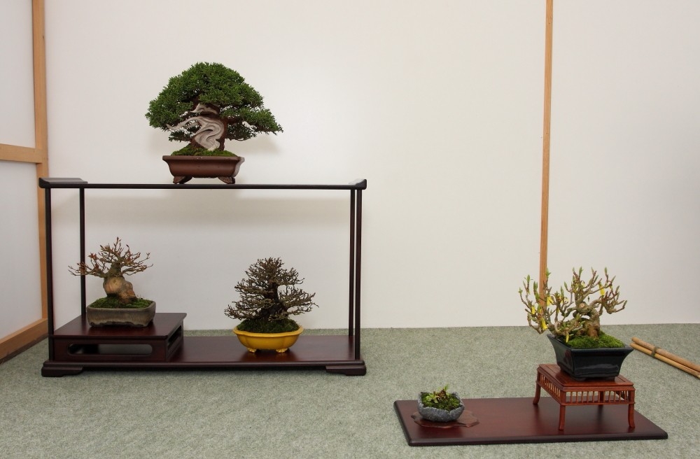 BSA Shohin Off 2011 032.jpg
