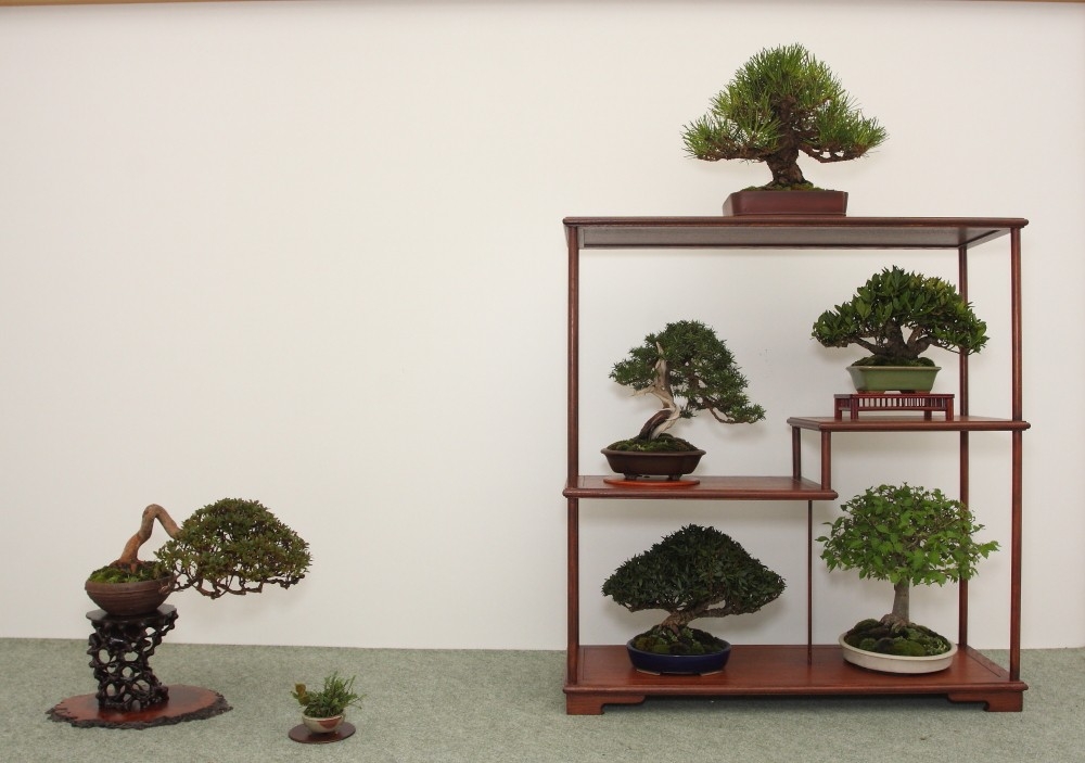 BSA Shohin Off 2011 038.jpg