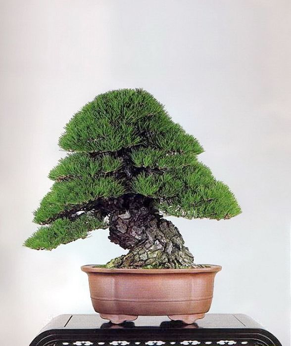 142f.jpg