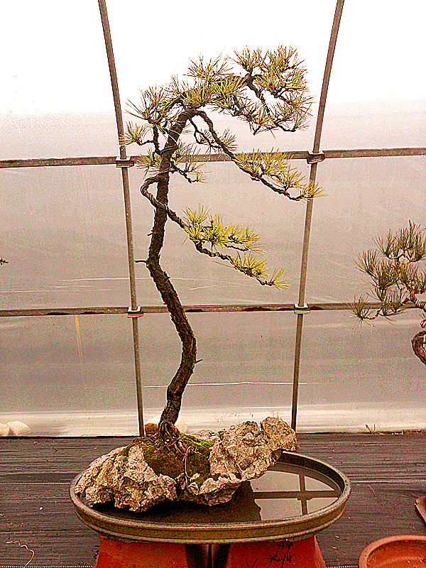 20120130599_.jpg