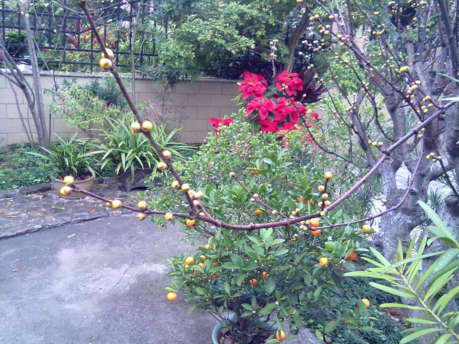 201201243370.jpg