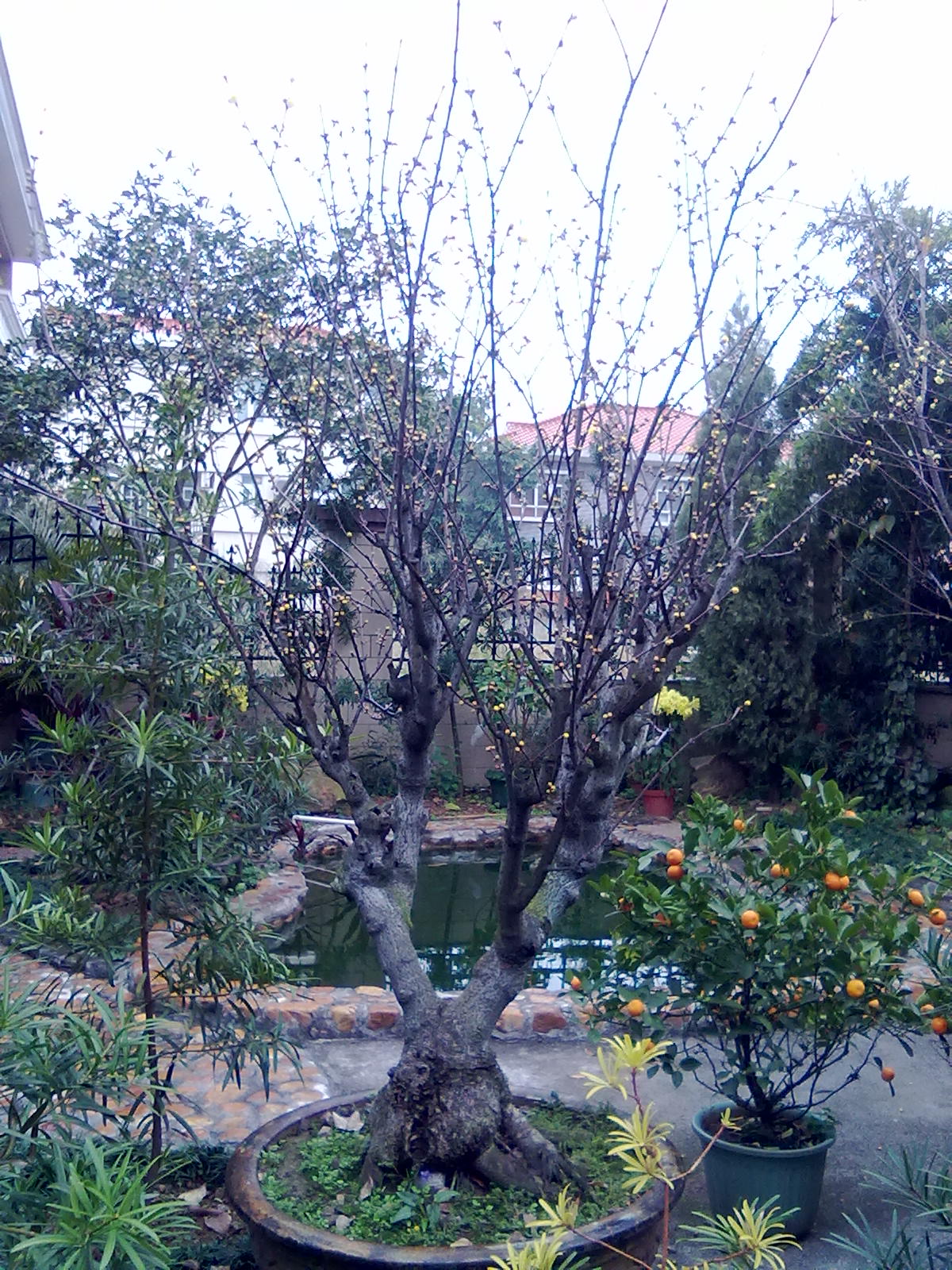 201201243371.jpg