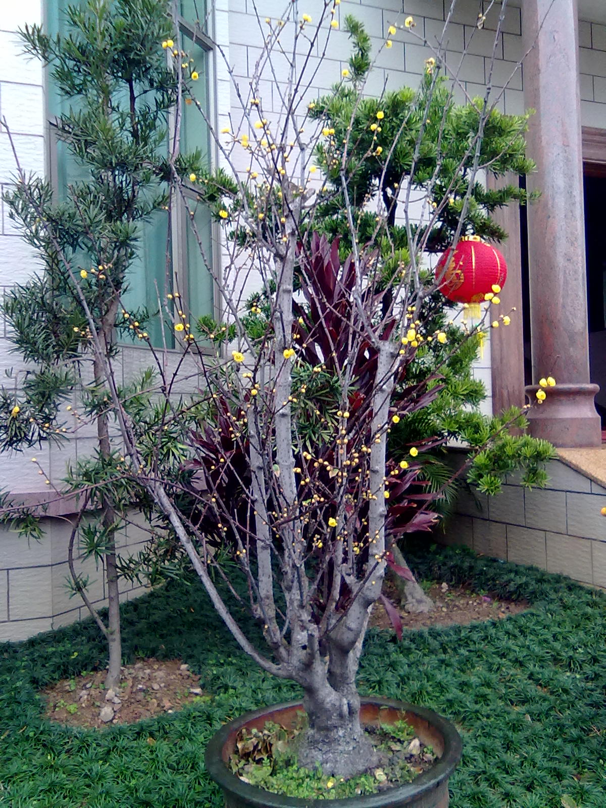 201201243372.jpg