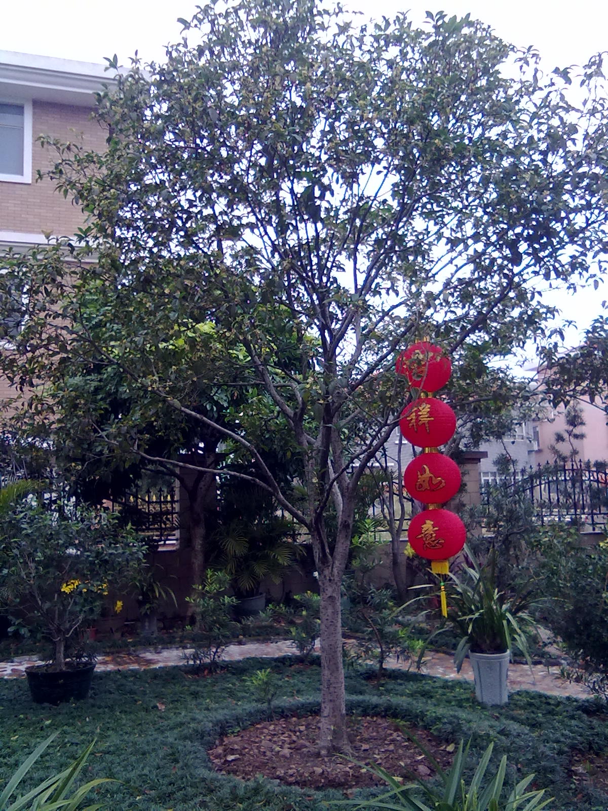 201201243373.jpg