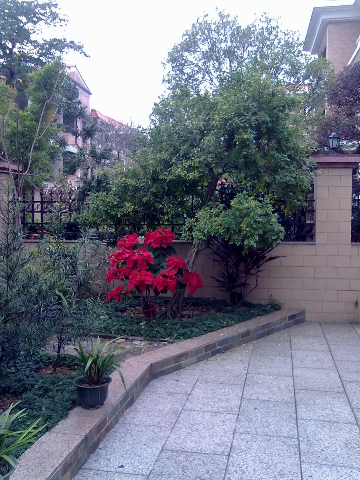 201201243374.jpg