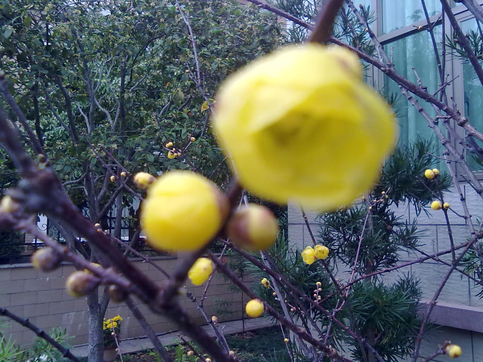 201201243375.jpg
