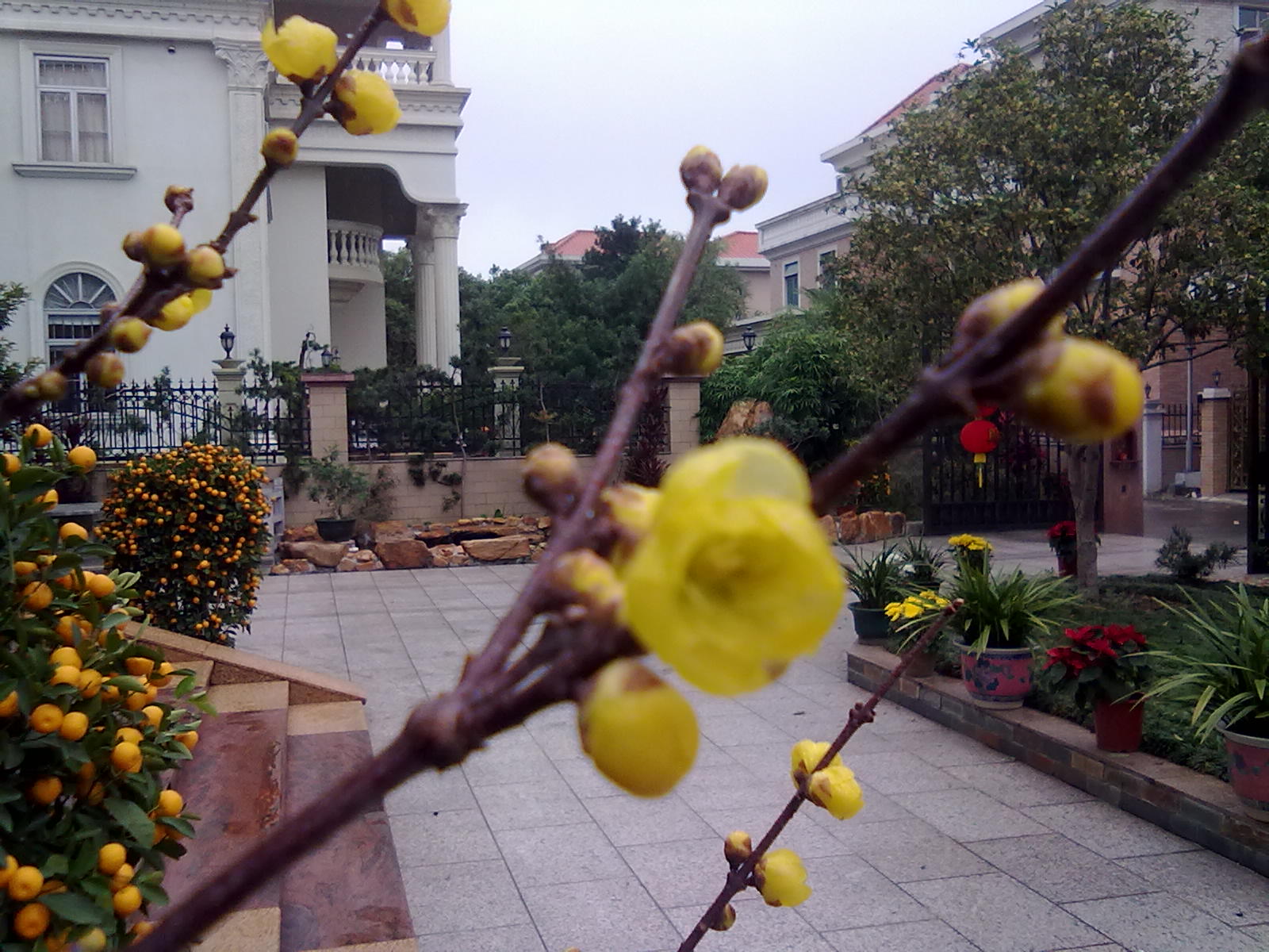 201201243376.jpg
