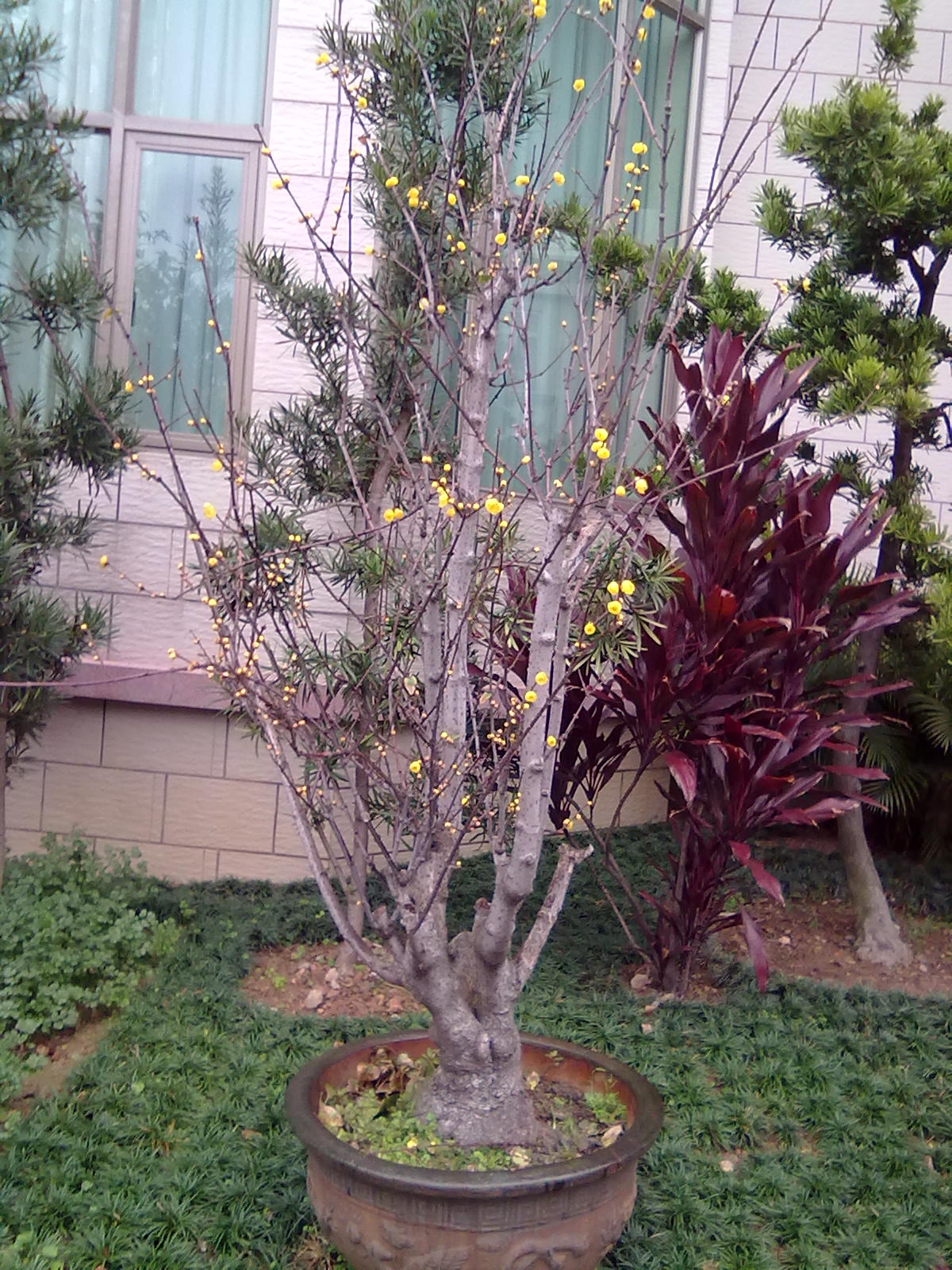 201201243377.jpg