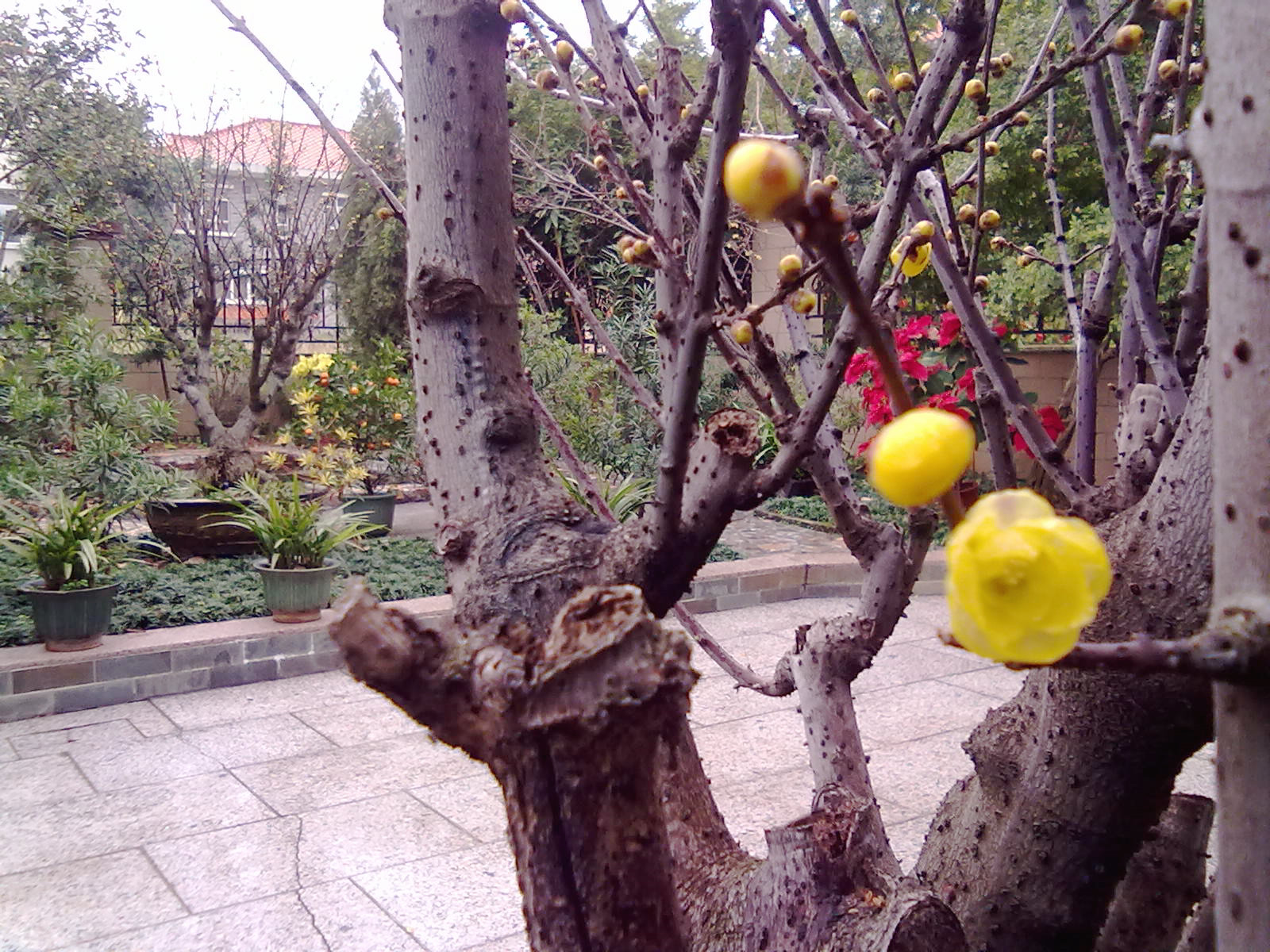 201201243378.jpg