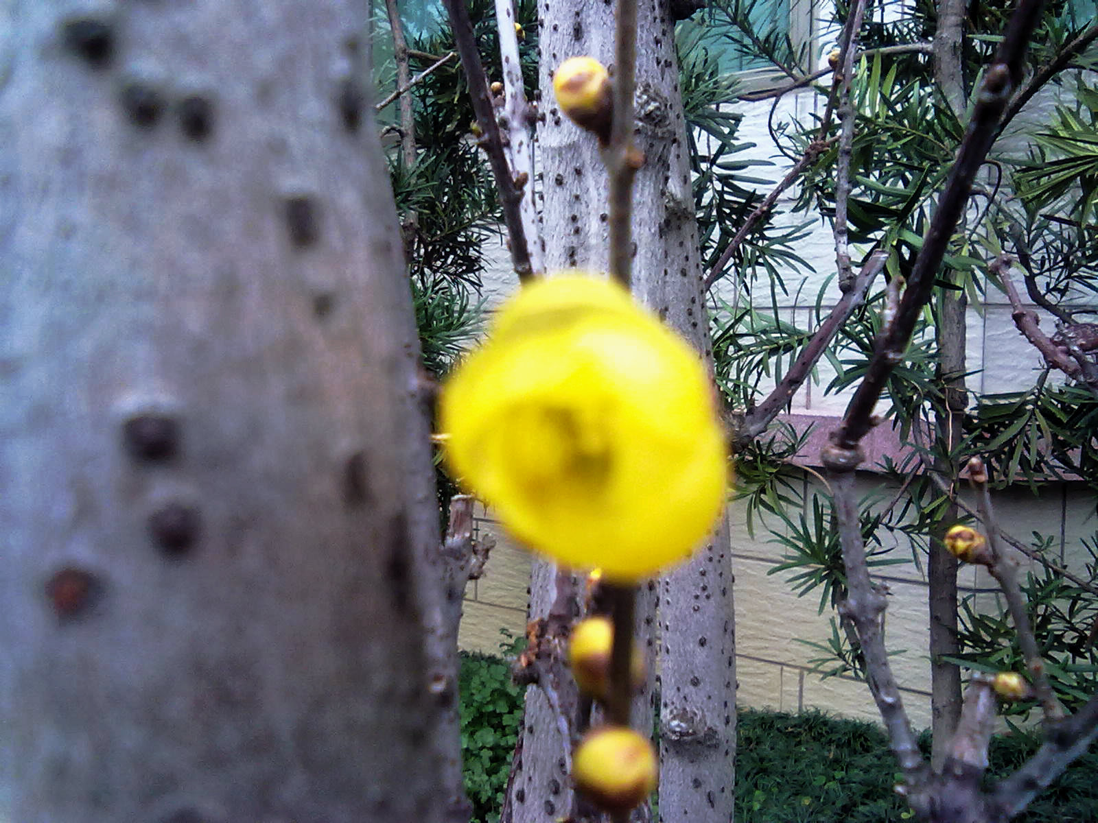 201201243379.jpg