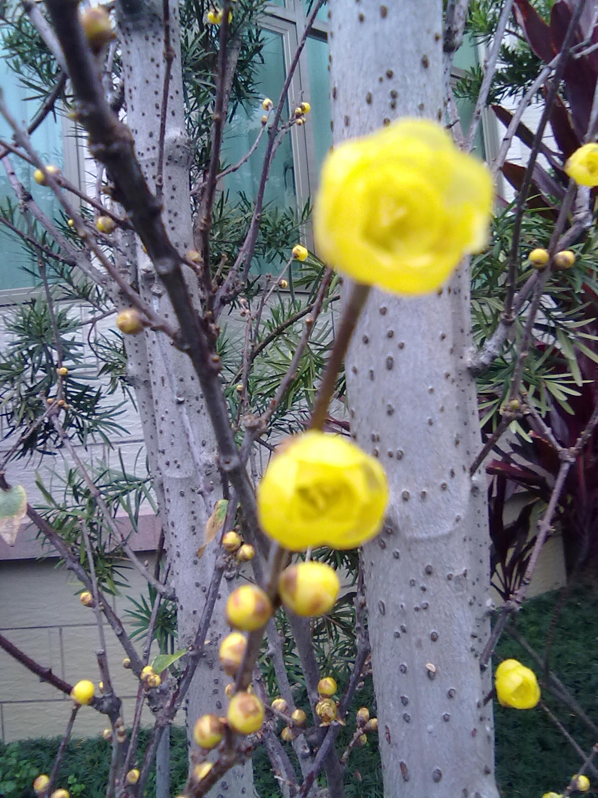 201201243380.jpg