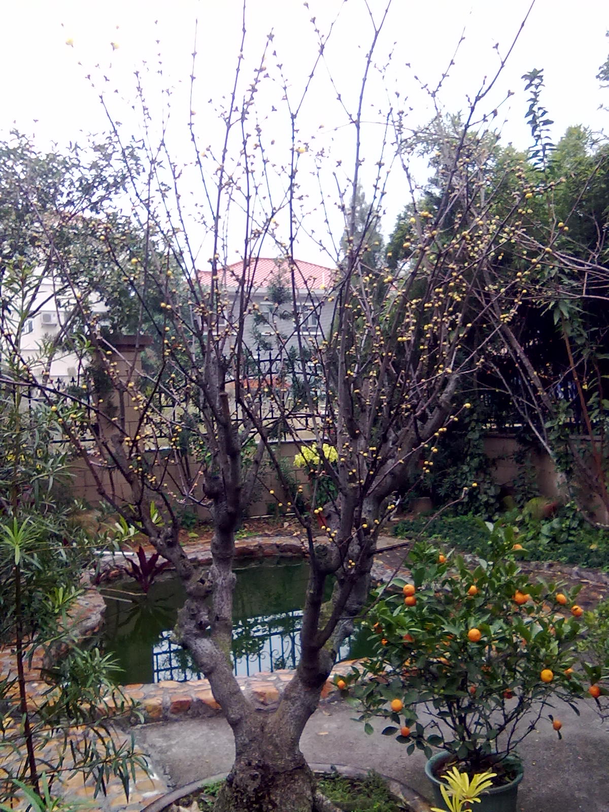 201201243381.jpg