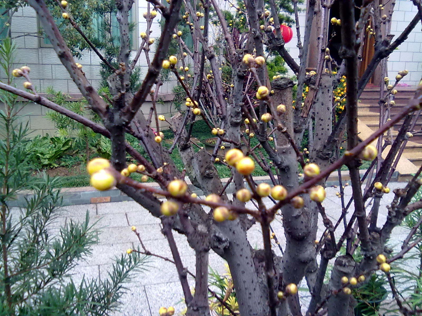 201201243382.jpg