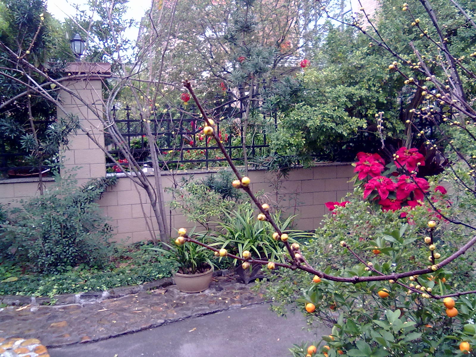 201201243383.jpg