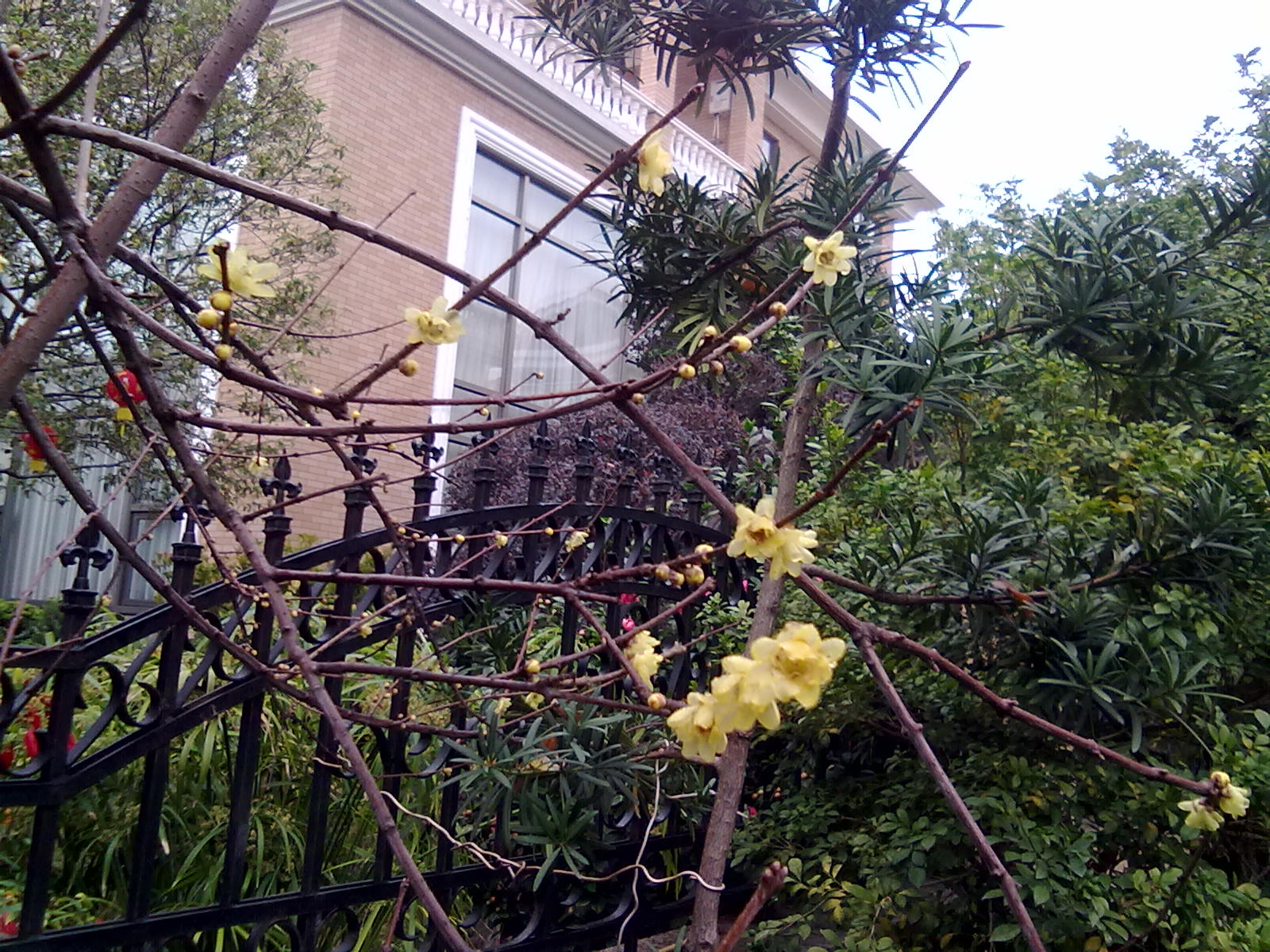 201201243384.jpg