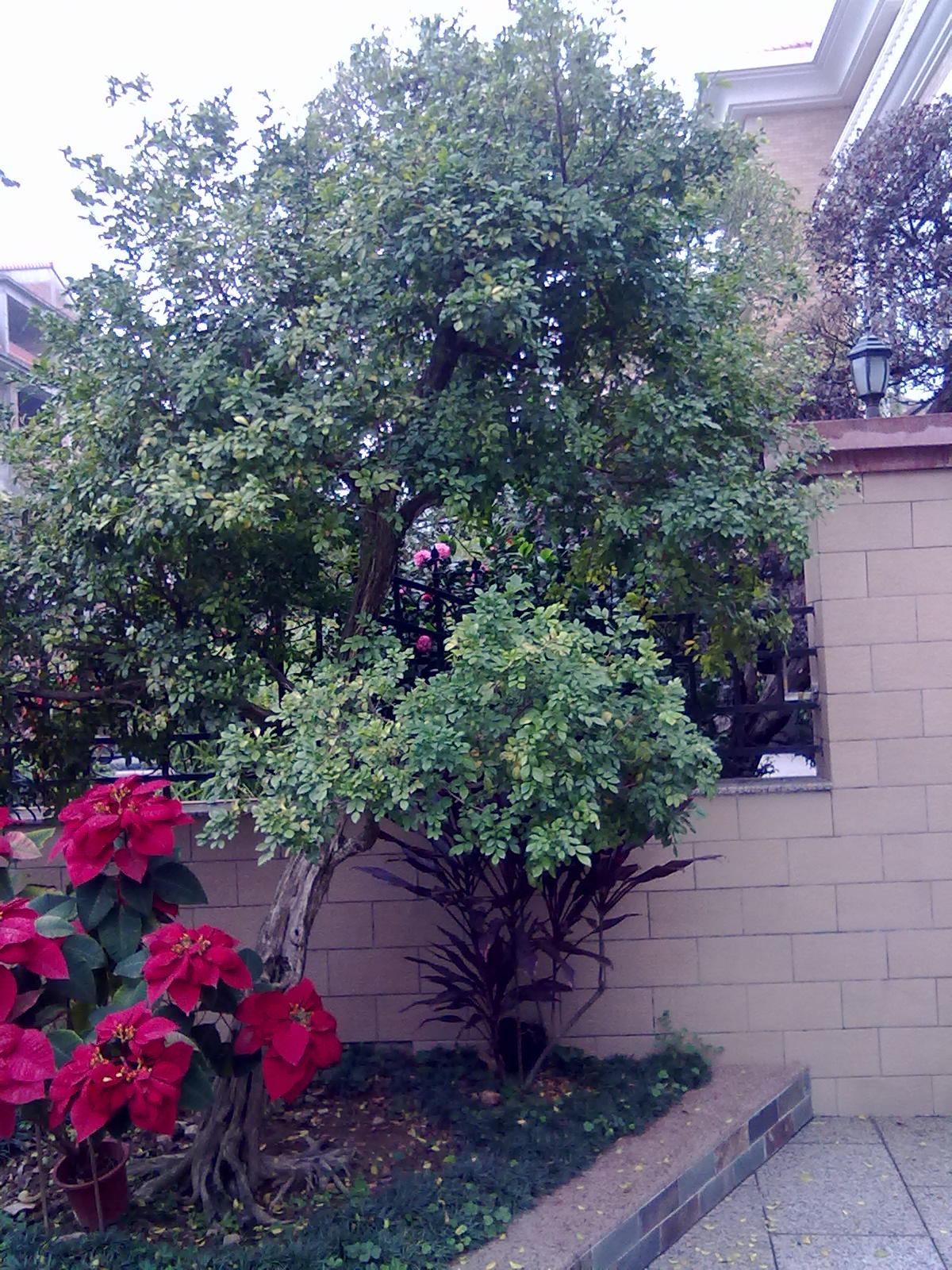 201201243385.jpg
