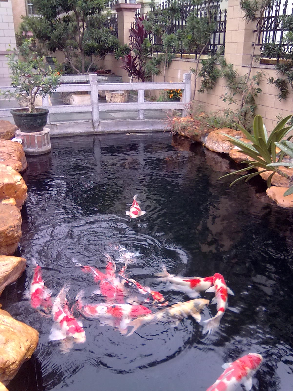 201201243386.jpg
