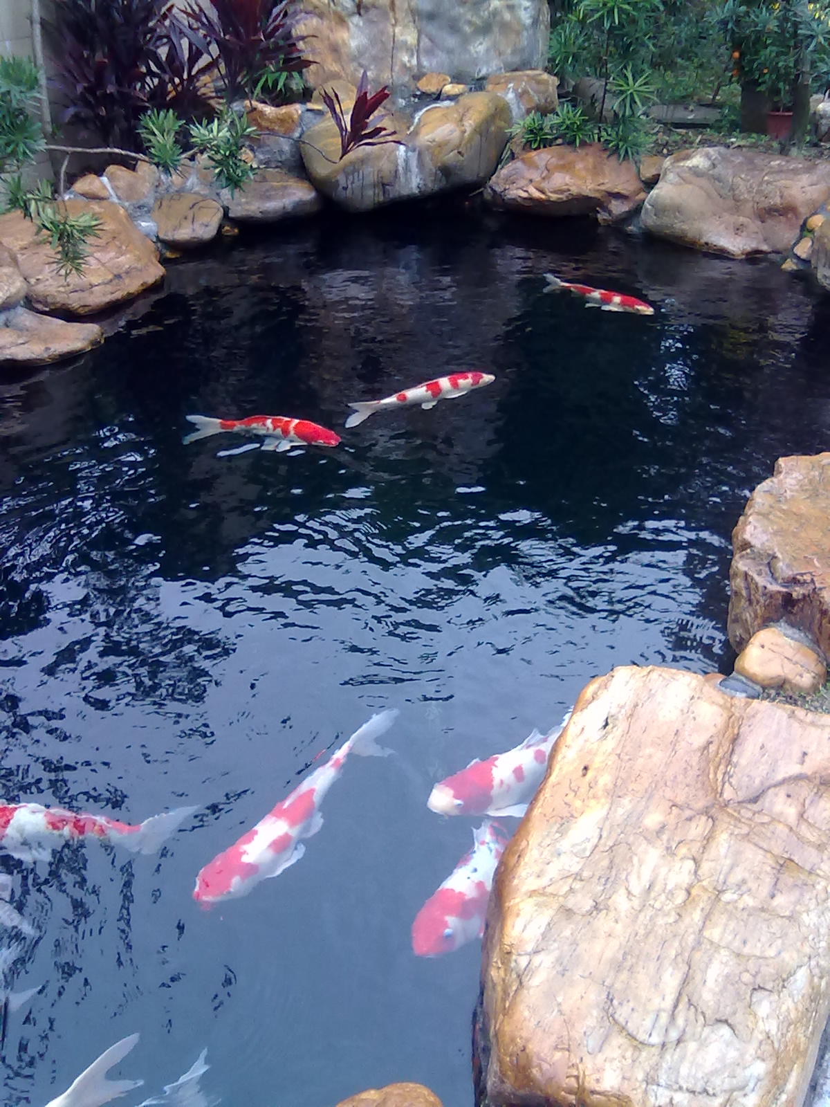 201201243387.jpg