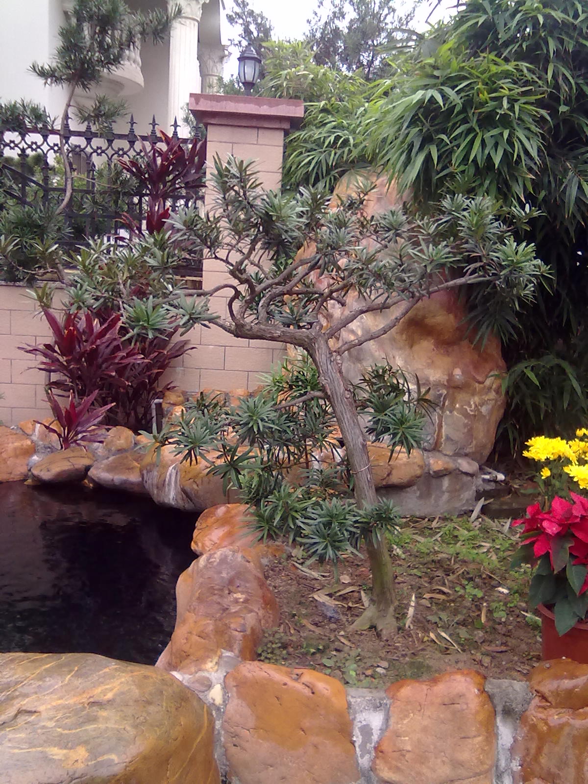 201201243388.jpg