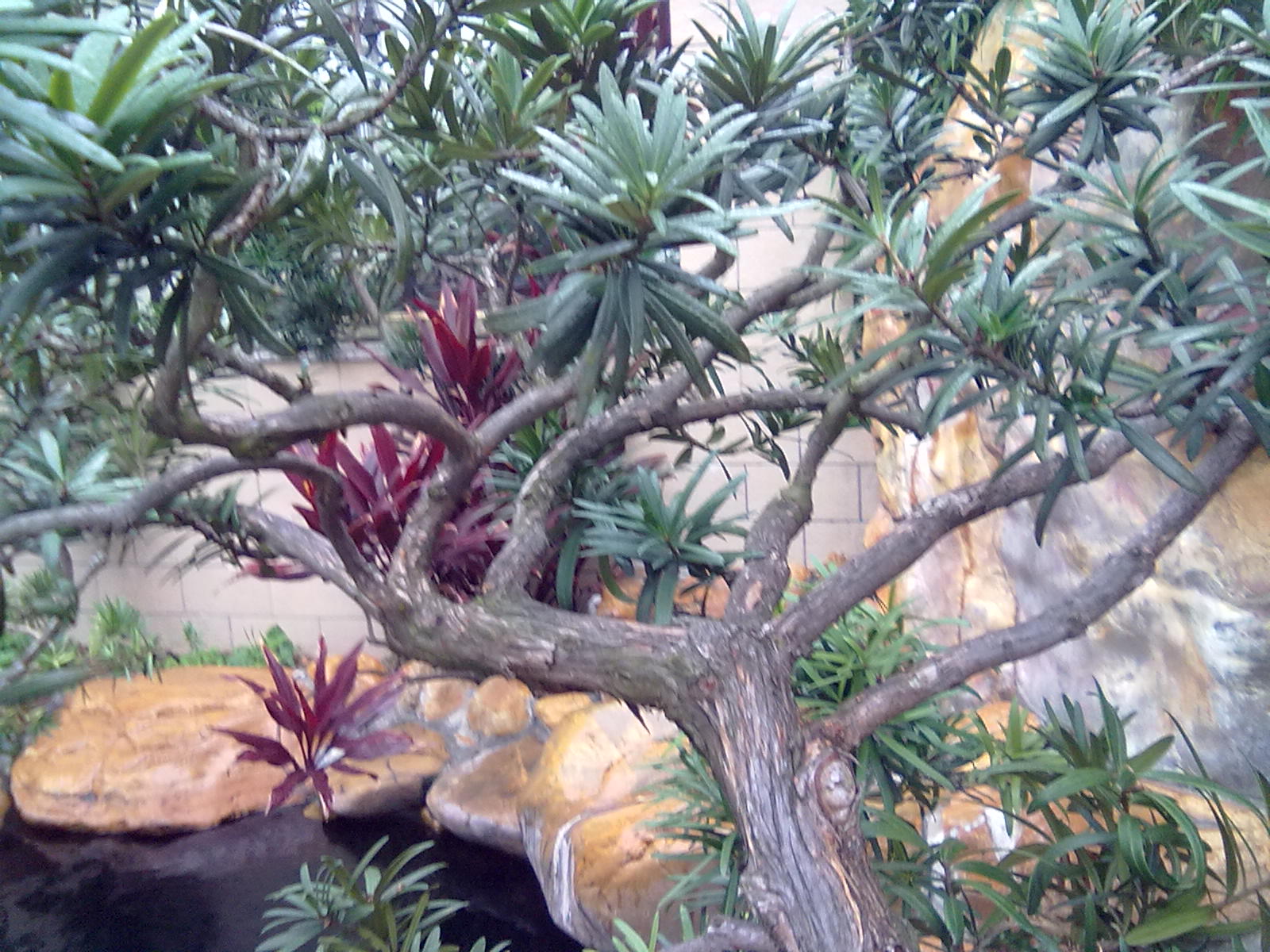201201243389.jpg