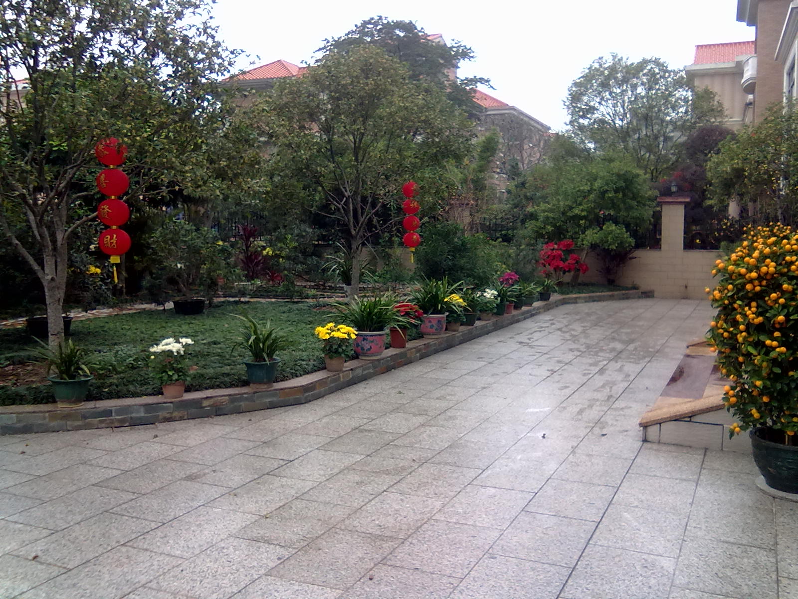 201201243391.jpg