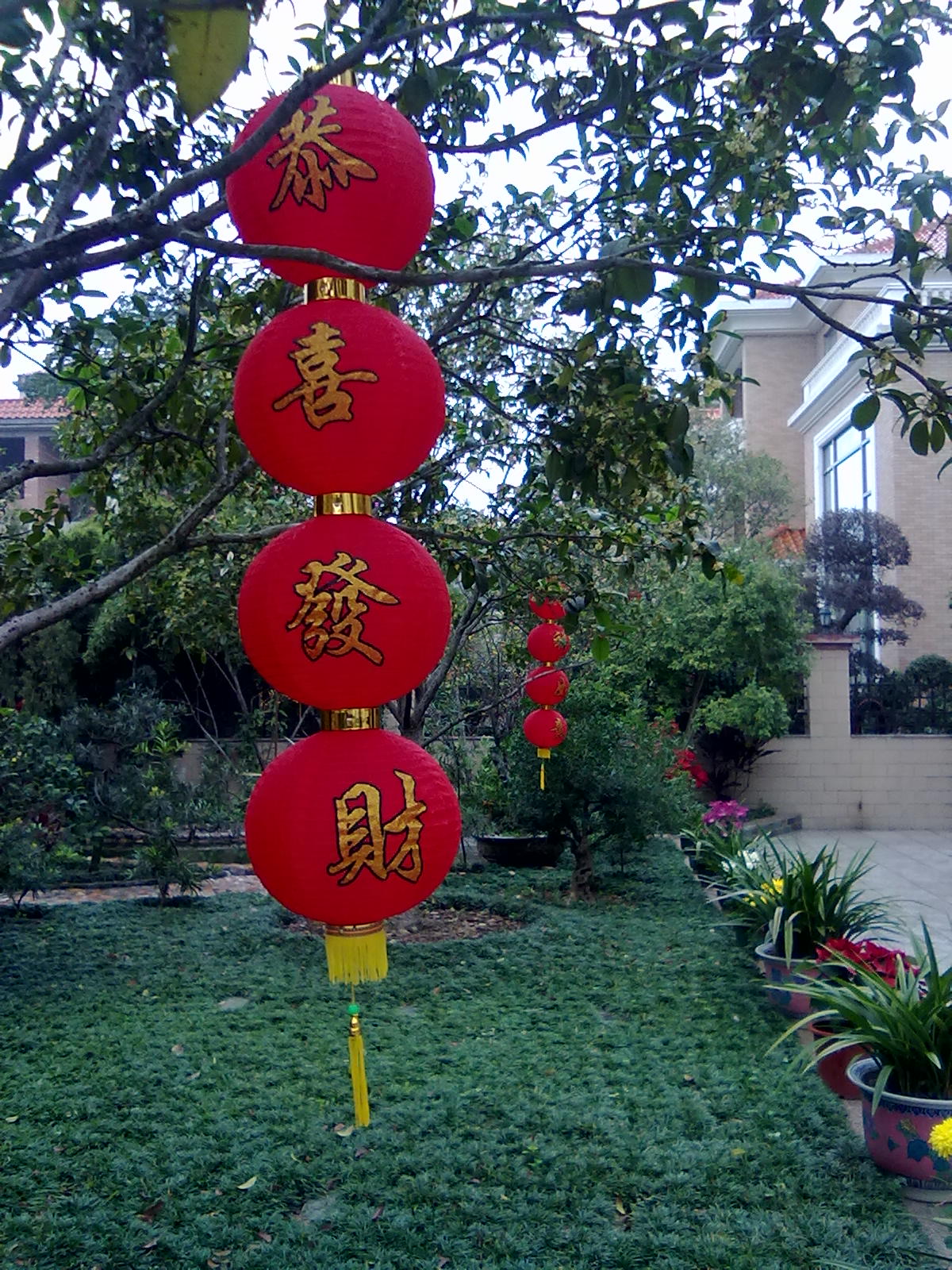 201201243392.jpg