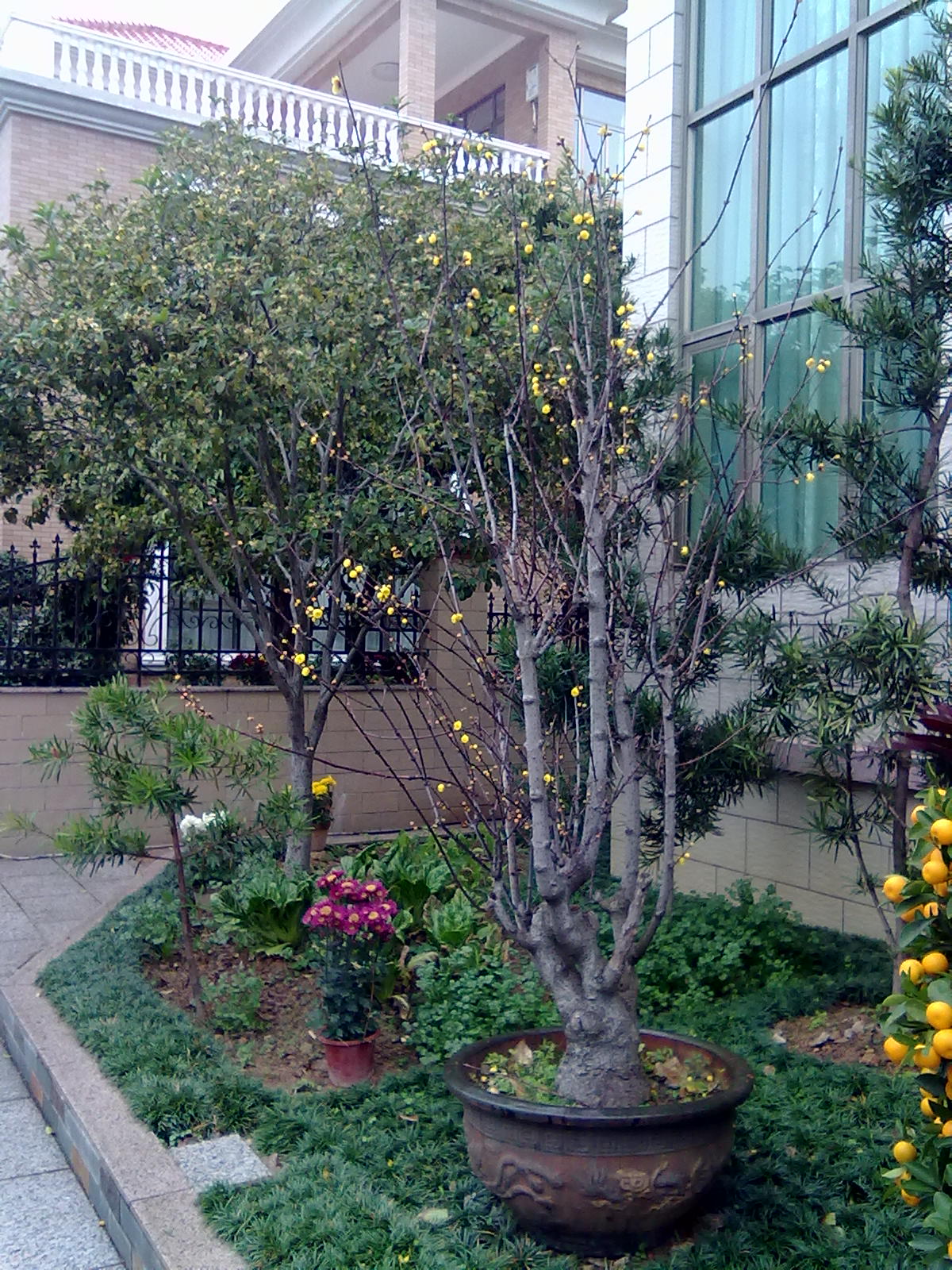 201201243394.jpg