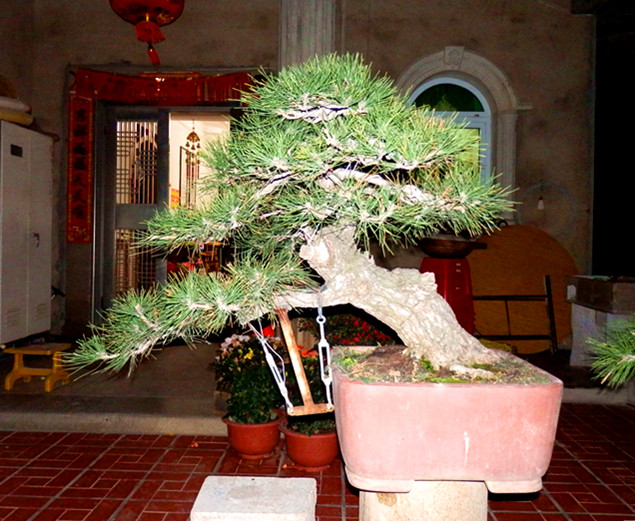 P1301142_.jpg