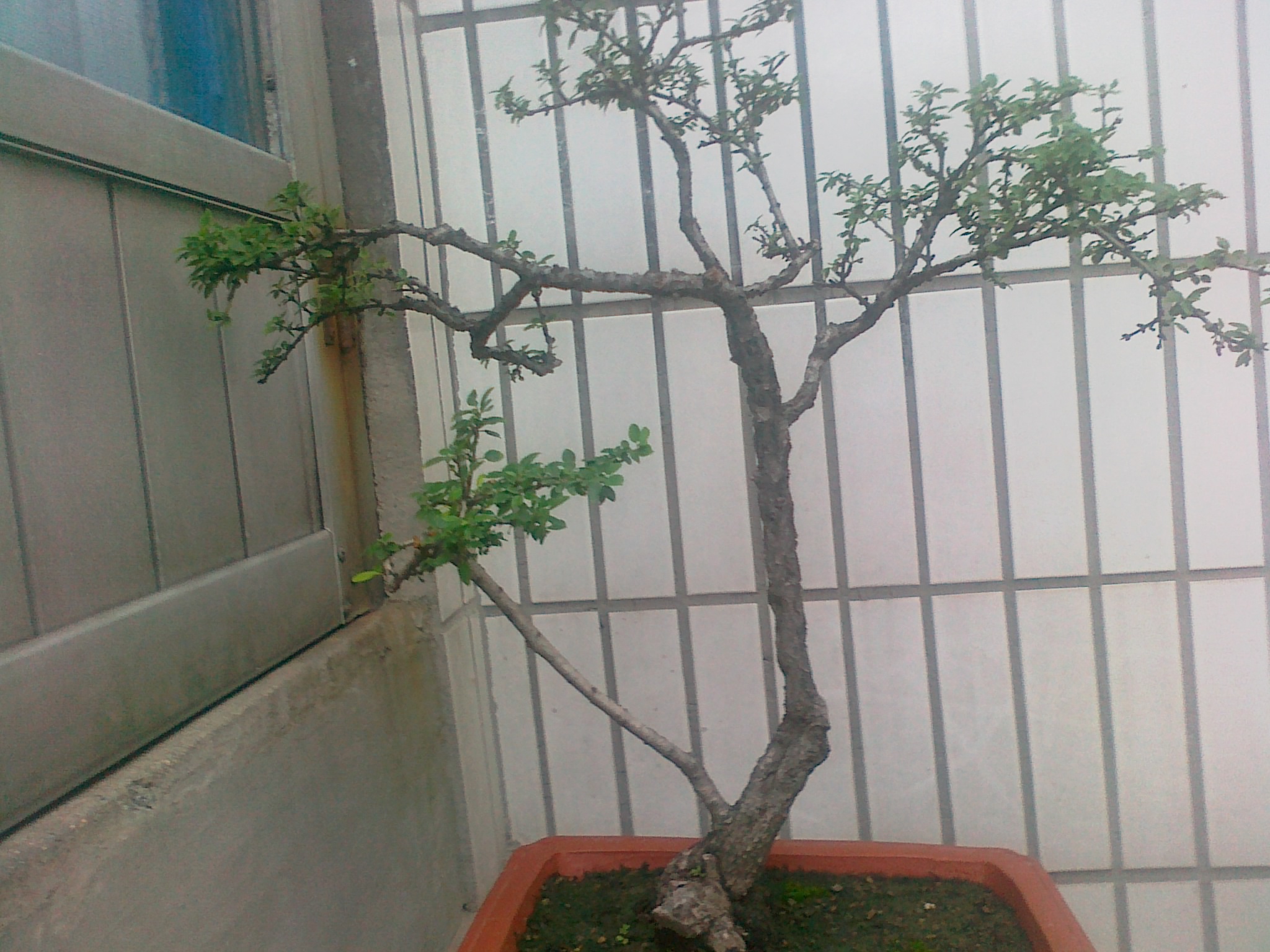 20110727229.jpg