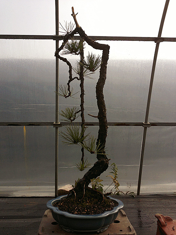 20120131602_.jpg