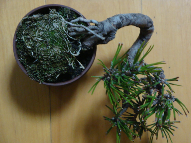 DSC07614.JPG