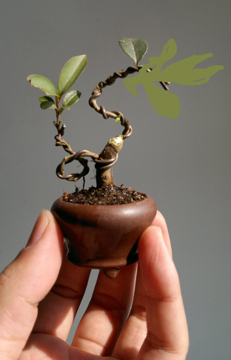201202035971.jpg
