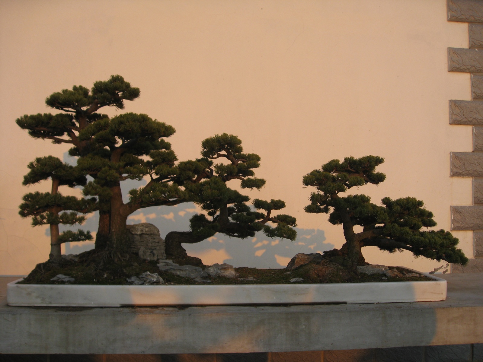 Ƭ 008.jpg
