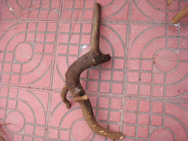 DSC06685.JPG