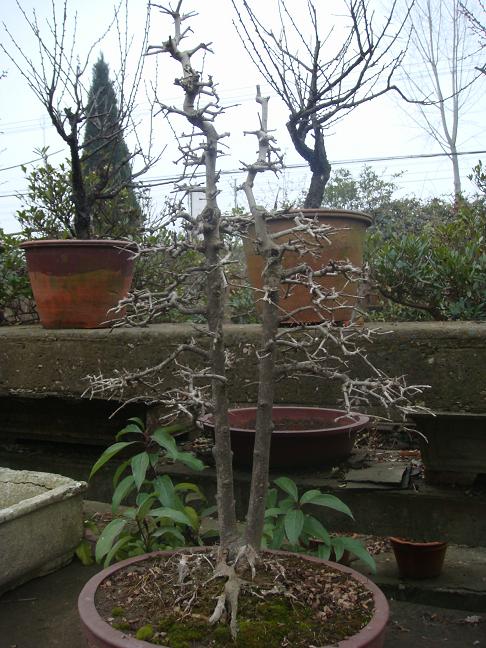 DSC00995.JPG