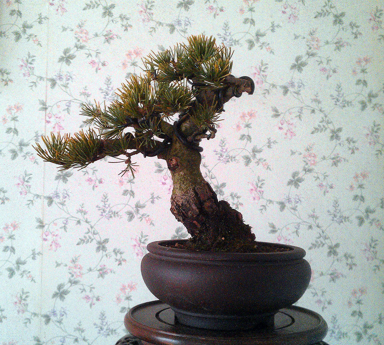 IMAG0267_.jpg