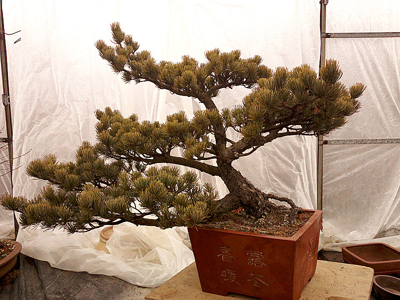 20120208732_.jpg