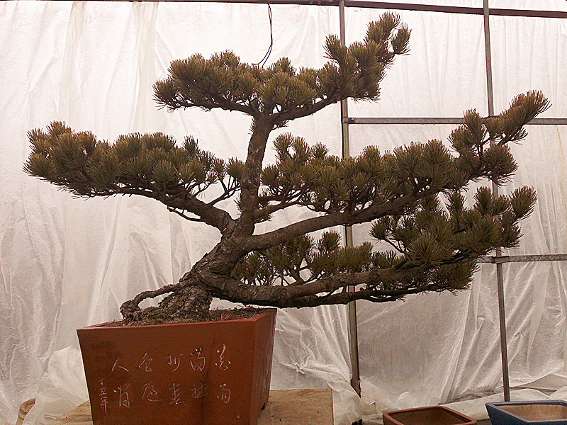 20120208733_.jpg