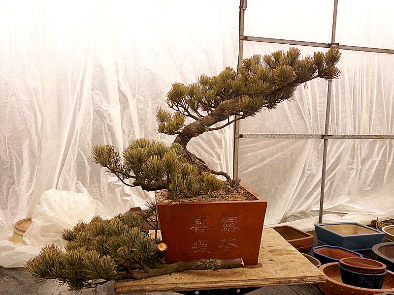 20120208734_.jpg