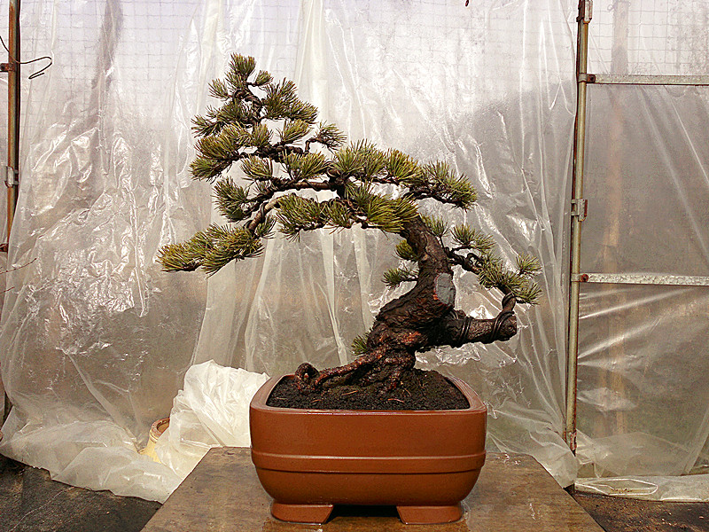 20120208740_.jpg
