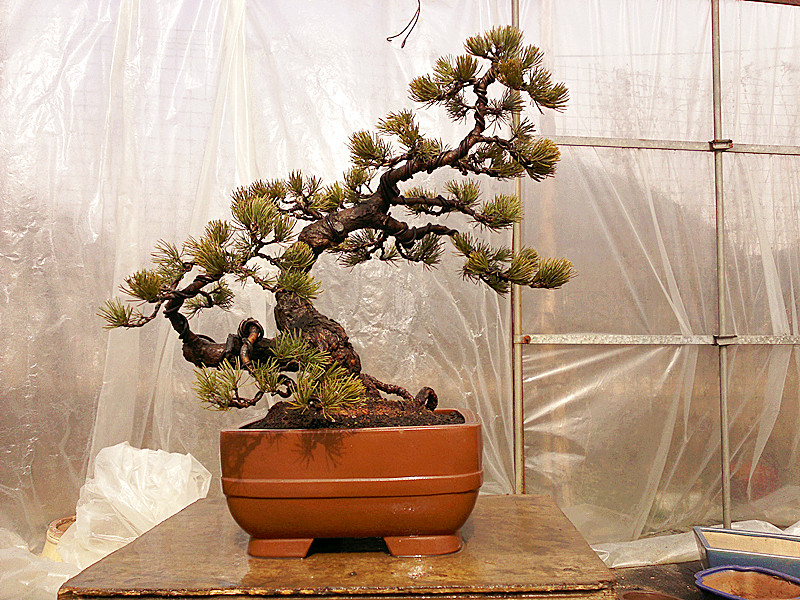 20120208741_.jpg