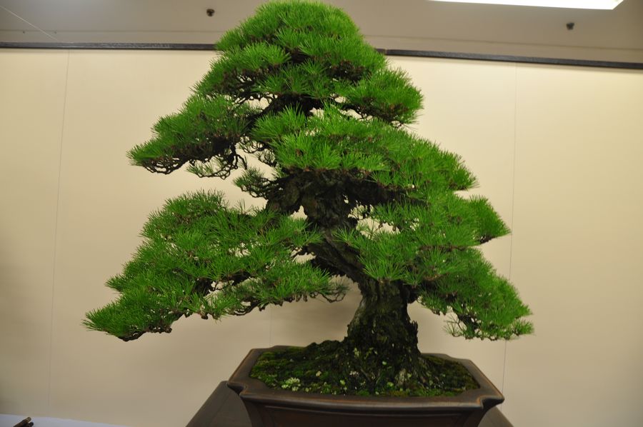 Ƭ 027.jpg