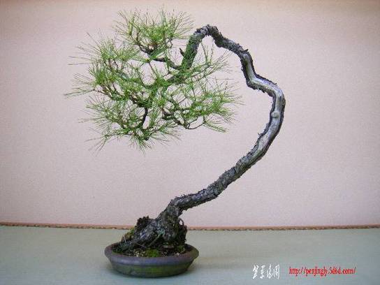 2009_0709rakutennshop0047.jpg
